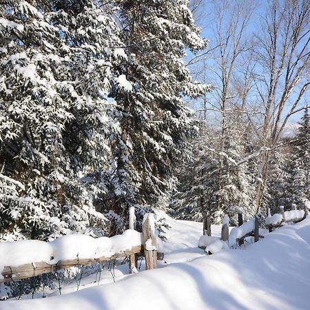 Jardin Du Village By Chez Tremblant Mont-Tremblant Exterior foto