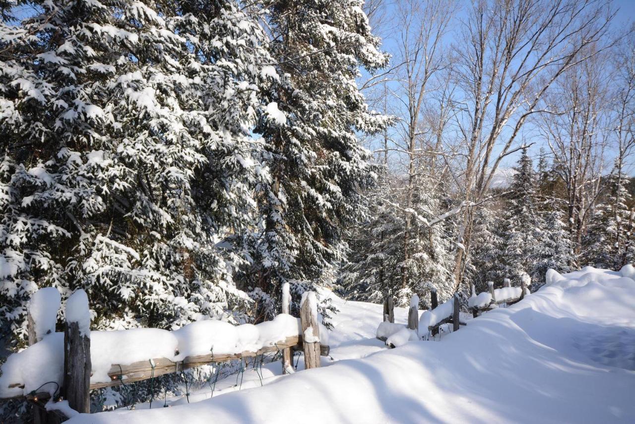 Jardin Du Village By Chez Tremblant Mont-Tremblant Exterior foto